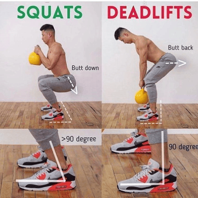 Squats vs Deadlifts 