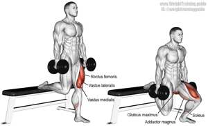 Bulgarian Split Squat