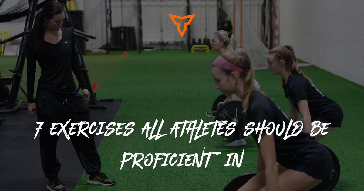 blog-7 exercises proficient
