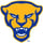 Pitt Sports Performance Staff
