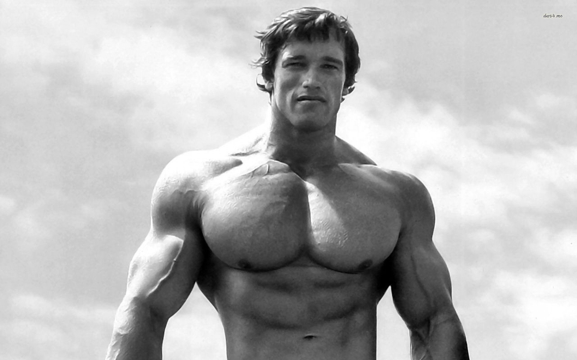 Arnold-Schwarzenegger-Championship-Government-facts-Arnold-Schwarzenegger (1)